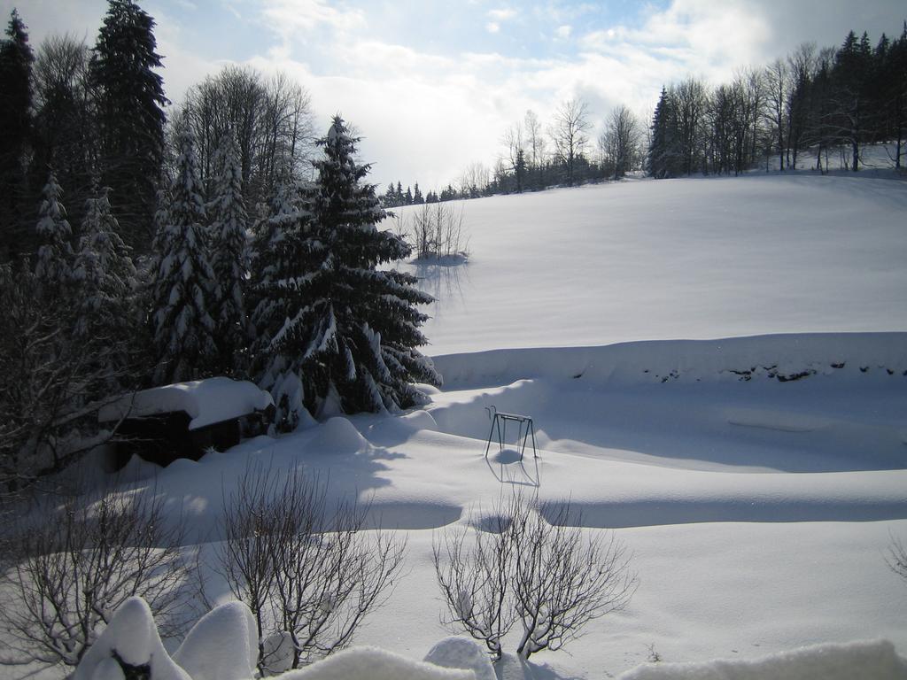 Chalet Lomy Villa Nove Mesto nad Metuji Bilik gambar